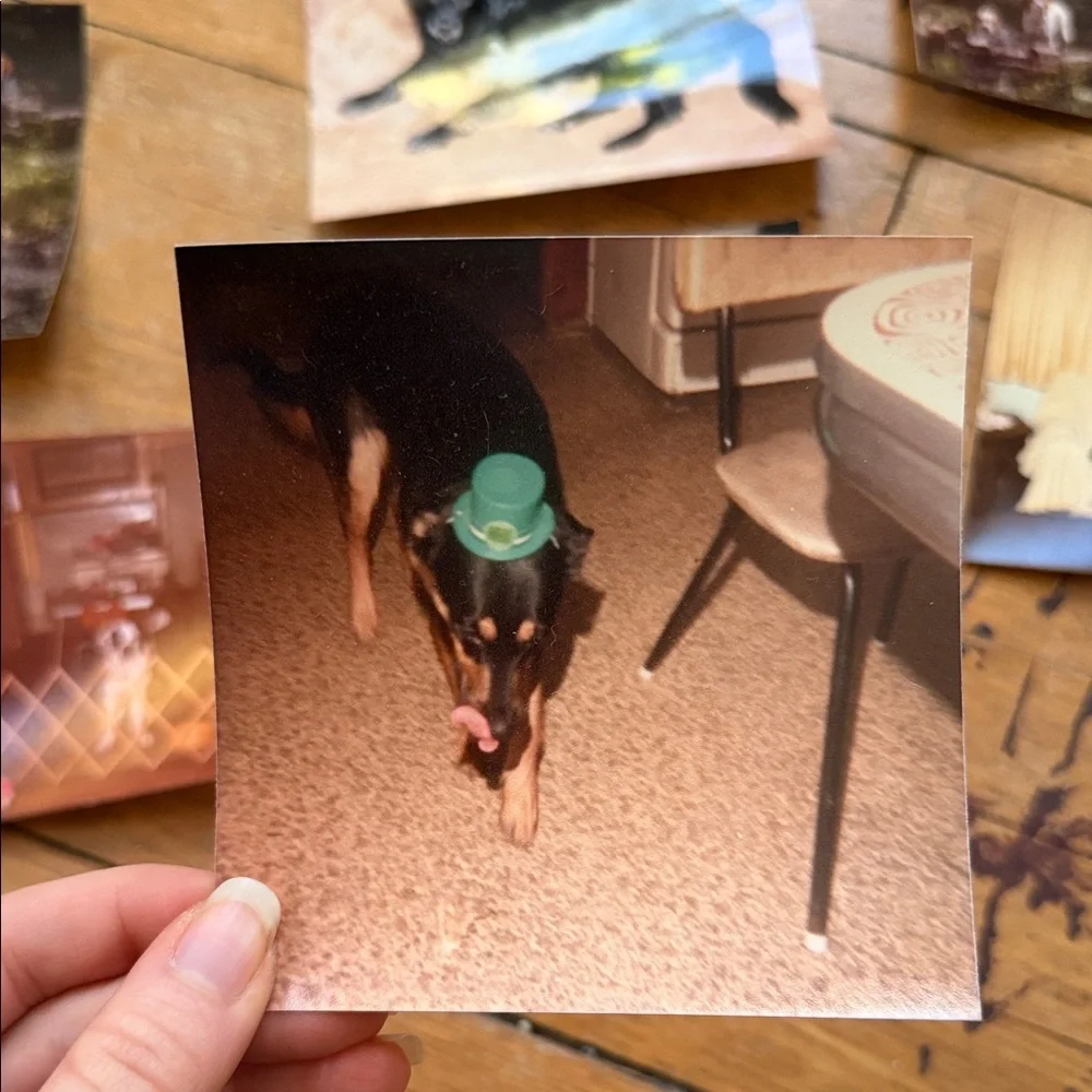 Vintage Photo Collection